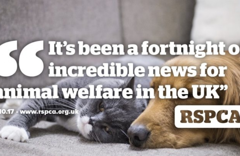 RSPCA response