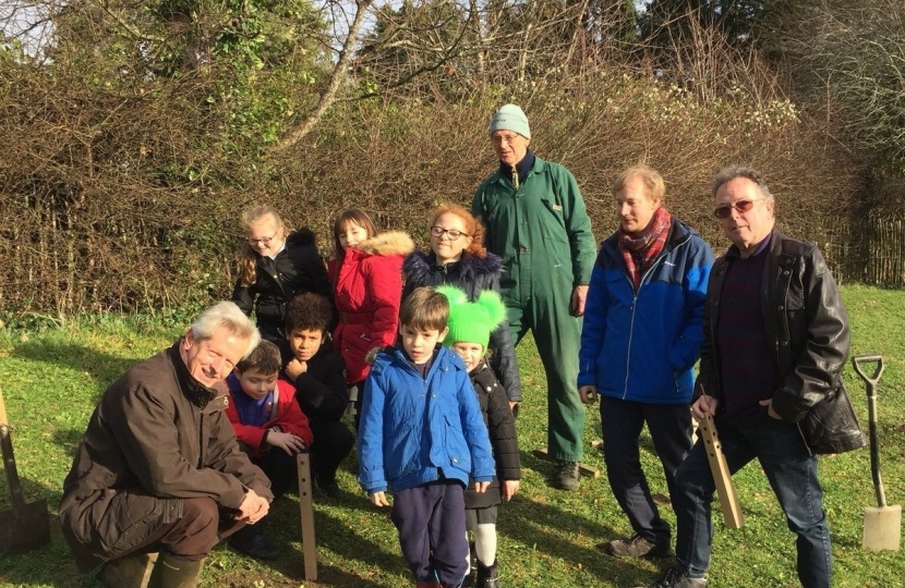 Tree planting 