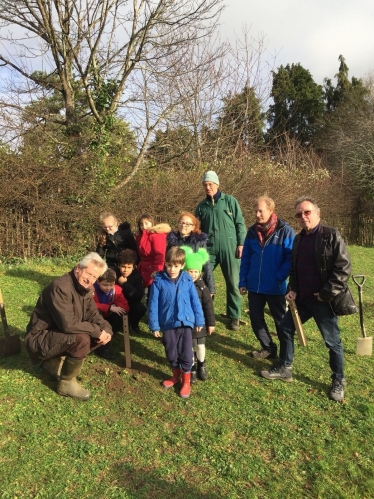 Tree planting 