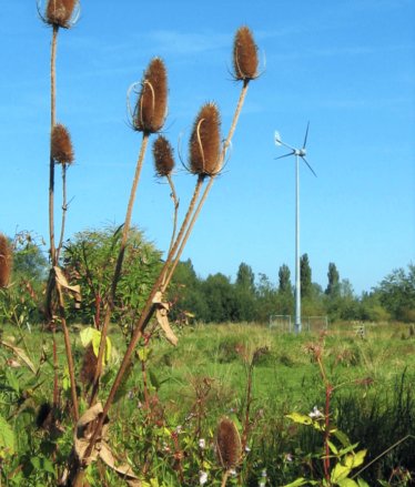 Alney Island wind turbine